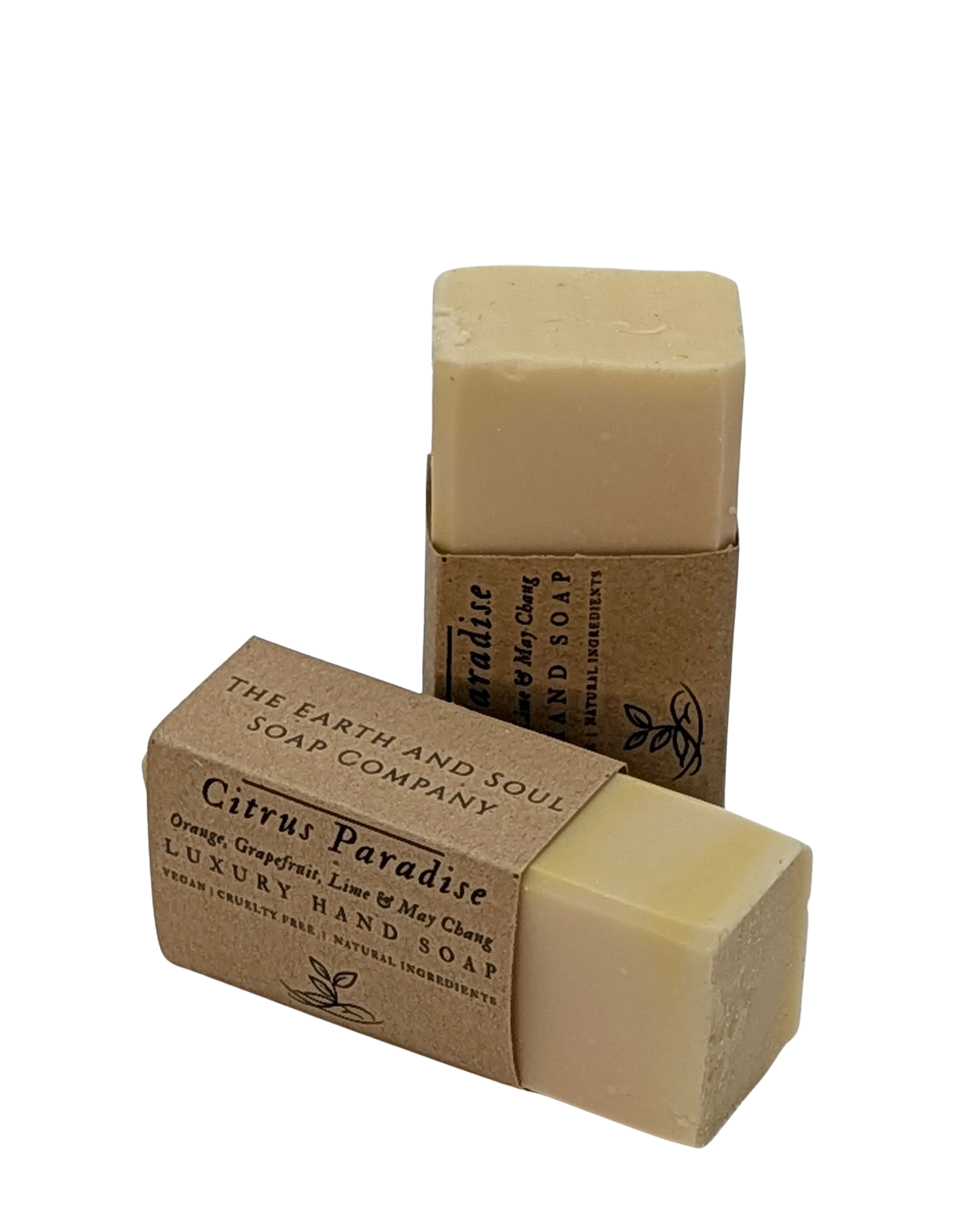 Citrus Paradise Basin Bar