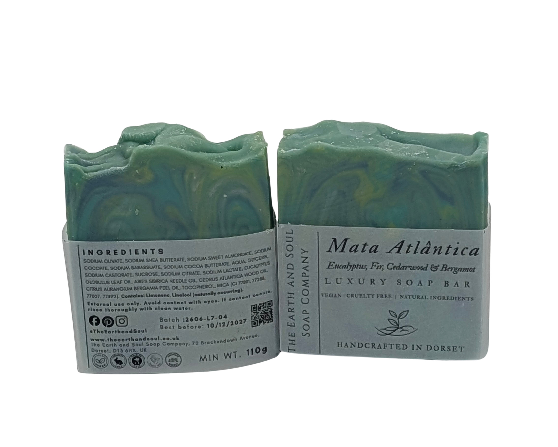 Mata Atlântica